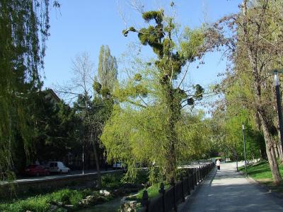 Прикрепленное изображение: sn2.jpg